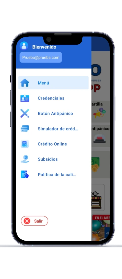 Menú de funcionalidades de la aplicación; imagen del producto publicada por Mirabili